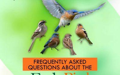 Frequentlt Asked Questions about the Early Bird